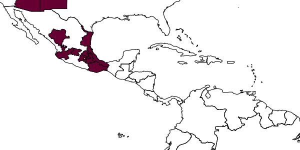 map of Cylloceria arizonica     Dasch, 1992